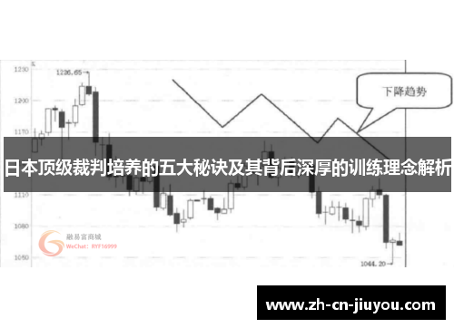 日本顶级裁判培养的五大秘诀及其背后深厚的训练理念解析