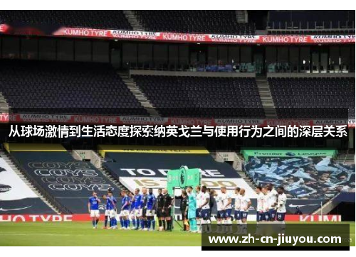 从球场激情到生活态度探索纳英戈兰与使用行为之间的深层关系