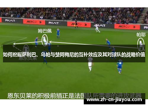 如何挖掘萨利巴、乌帕与楚阿梅尼的互补效应及其对球队的战略价值