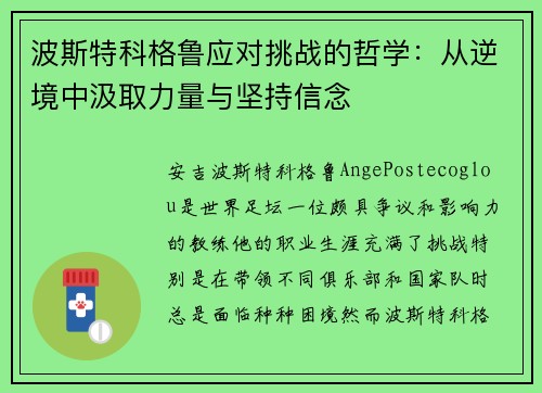 波斯特科格鲁应对挑战的哲学:从逆境中汲取力量与坚持信念 波斯特科格鲁应对挑战的哲学:从逆境中汲取力量与坚持信念
